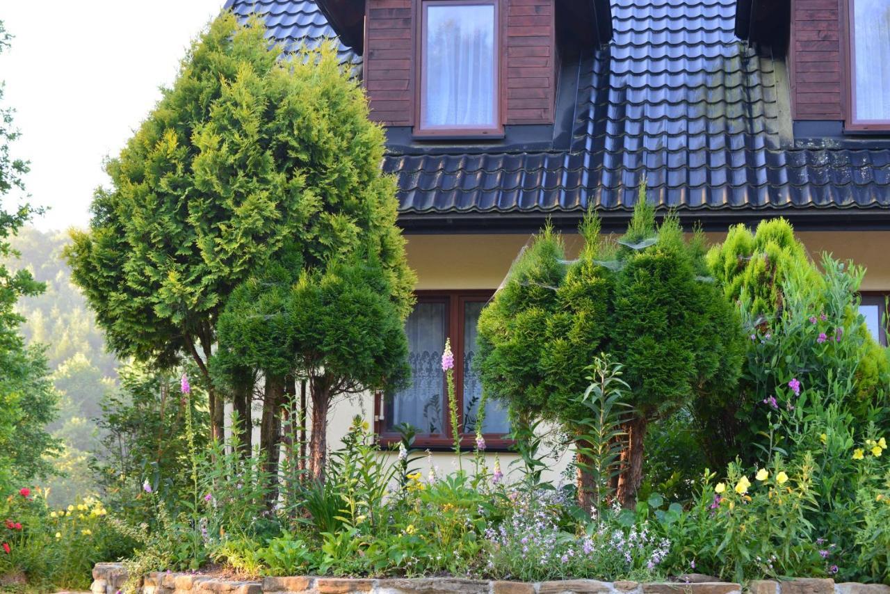 Zakole Sanu Villa Dubiecko Dış mekan fotoğraf